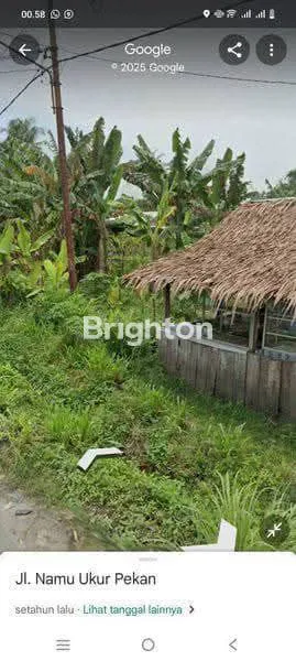 image TANAH DISEWAKAN (2)