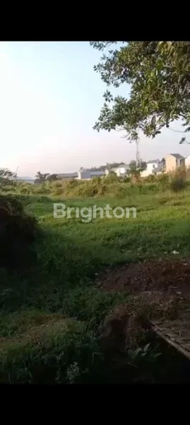 image DIJUAL TANAH NOL JALAN TANGGUL PANDAAN (1)