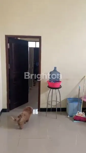 image RUKO GERILYA (3)