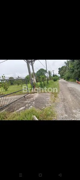 image KEBUN DURIAN DAERAH BINJAI (8)