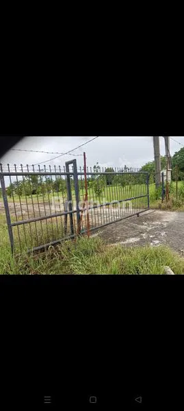 image KEBUN DURIAN DAERAH BINJAI (1)