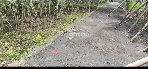 image DIJUAL TANAH 1 ARE DI BLANGSINGA DPS 350 JUTA 1 ARE (2)