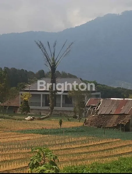 image DIJUAL TANAH DIBEDUGUL 90 JUTA 1 ARE (2)