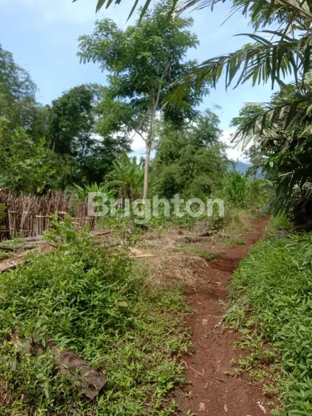 image TANAH JEDONG DEKAT PERUM BMI (2)