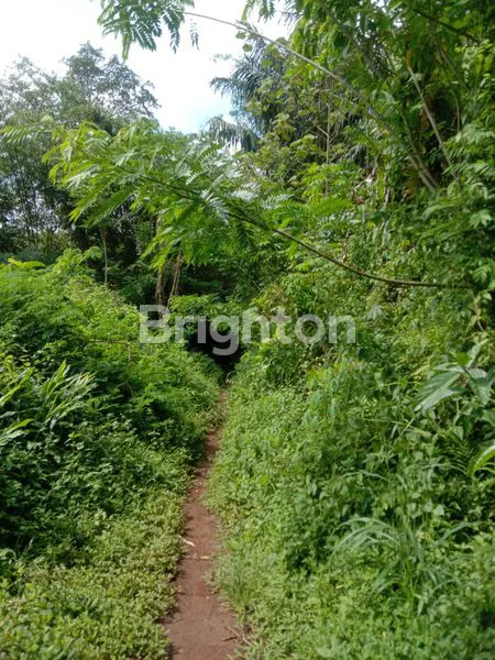 image TANAH JEDONG DEKAT PERUM BMI (3)