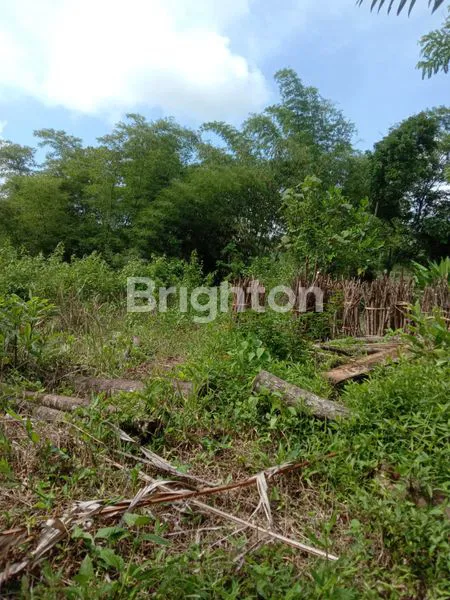 image TANAH JEDONG DEKAT PERUM BMI (1)