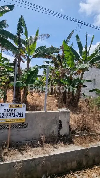 image TANAH DIJUAL DI SUKOHARJO (3)