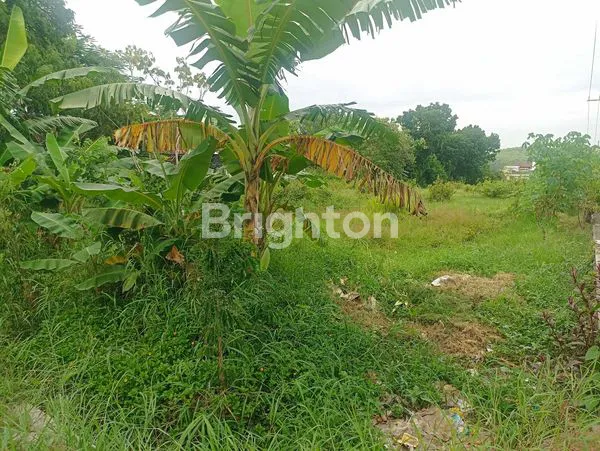 image TANAH MURAH MADIUN (1)