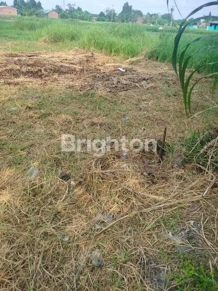 image TANAH DIJUAL (4)