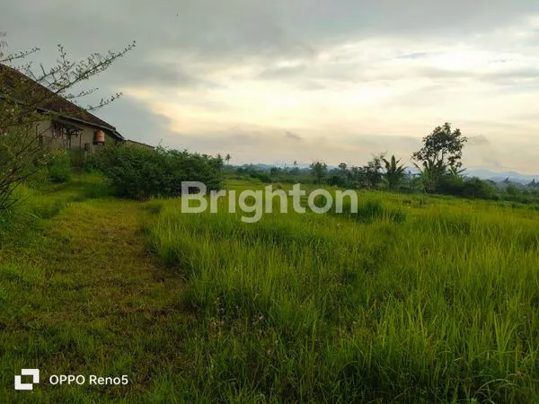 image TANAH  STRATEGIS DI TEMANGGUNG (2)