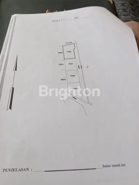 image TANAH MURAH AREA BATU BULAN GIANYAR  (6)