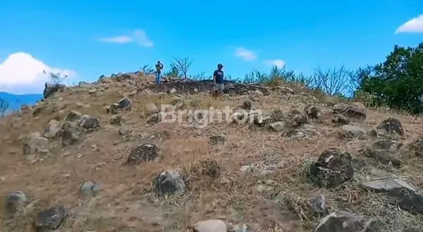 image OPPORTUNITY FOR INVESTORS – TANAH SUPER PREMIUM DI LABUAN BAJO (2)