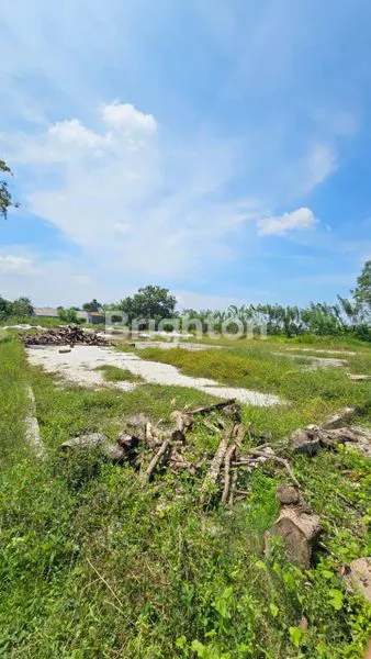 image TANAH DATAR STRATEGIS KARAWANG TIMUR, LT 7922 M² (2)