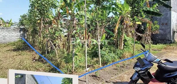 image INVESTASI TANAH SHM LOKASI TERBAIK LUMAJANG (1)