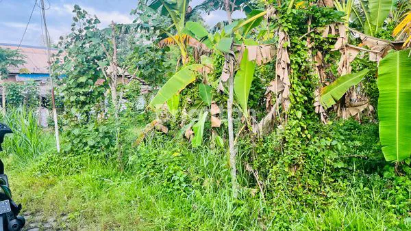 image INVESTASI TANAH SHM LOKASI TERBAIK LUMAJANG (5)