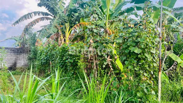 image INVESTASI TANAH SHM LOKASI TERBAIK LUMAJANG (4)