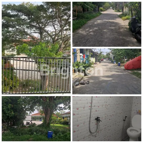 image JARANG ADA! RUMAH SKYLIGHT CANTIK AKSES TOL GABUS (7)