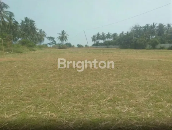 image TANAH 1,5 HA PINGGIR JALAN RAYA PANIMBANG DEKAT TOL SHM MURAH (3)