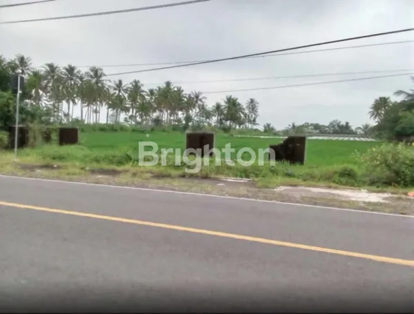 TANAH 1,5 HA PINGGIR JALAN RAYA PANIMBANG DEKAT TOL SHM MURAH