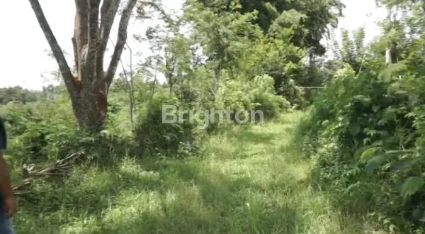 image TANAH 34.800 M2 DI DESA TOYOMARTO, SINGOSARI (2)