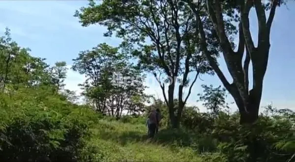 image TANAH 34.800 M2 DI DESA TOYOMARTO, SINGOSARI (1)