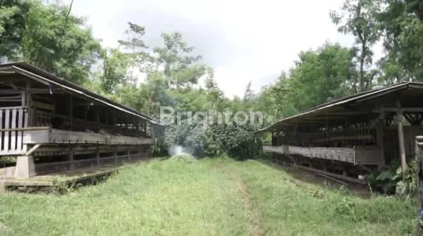 image TANAH 34.800 M2 DI DESA TOYOMARTO, SINGOSARI (3)