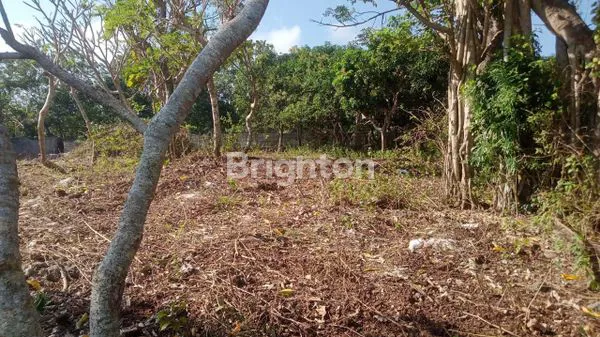 image TANAH SUPER STRATEGIS DI AREA KAMPUS JIMBARAN  (5)