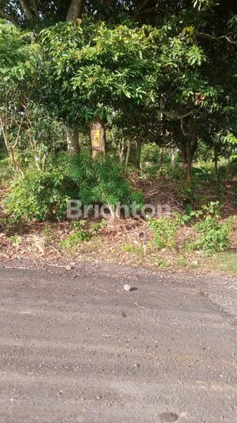 image TANAH SUPER STRATEGIS DI AREA KAMPUS JIMBARAN  (4)