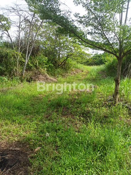 TANAH 200M² DI SAMARINDA, BEBAS BANJIR & POTENSIAL