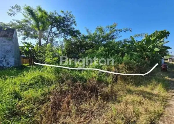 image TANAH KAVLING MURAH DEKAT PUSAT KOTA SOLO (4)