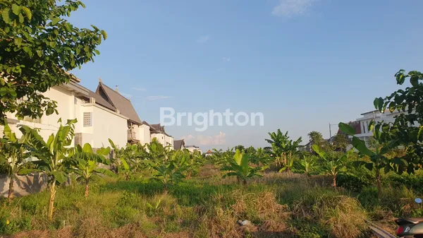 image DISIEWAKAN TANAH LUAS 3.700 M²  – LOKASI STRATEGIS, COCOK INVESTASI & PENGEMBANGAN (1)