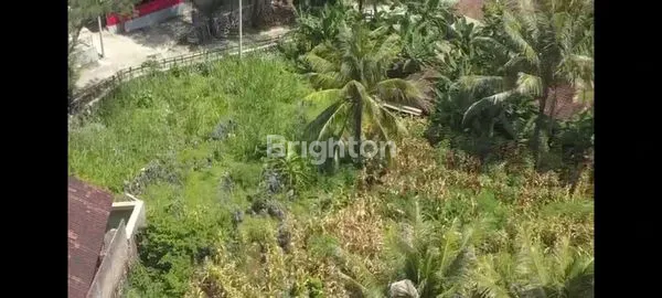 TANAH STRATEGIS DI KAWASAN WISATA PANTAI “GESING WONDERLAND” GUNUNG KIDUL, YOGYAKARTA.
