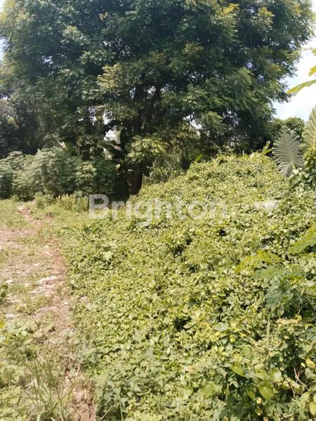 image DIJUAL TANAH PINGGIR JALAN LEBAK BUKUS (4)