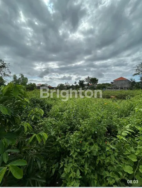 image TANAH KAVLING KUTUH, SHM, 5 UNIT SIAP HUNI (2)