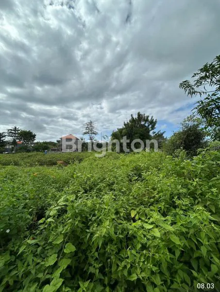 image TANAH KAVLING KUTUH, SHM, 5 UNIT SIAP HUNI (3)