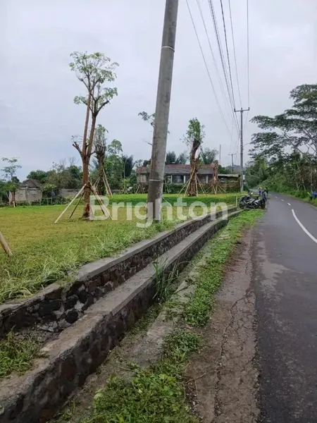 image TANAH / LAHAN BALI 15.000 M² (1,5 HA) SHM (1)