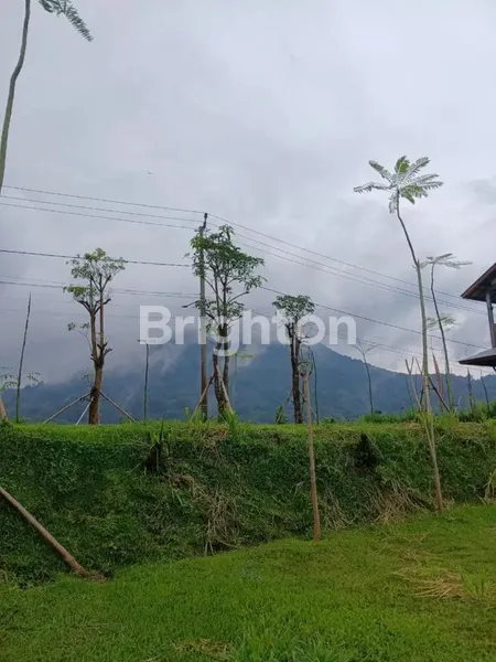 image TANAH / LAHAN BALI 15.000 M² (1,5 HA) SHM (5)