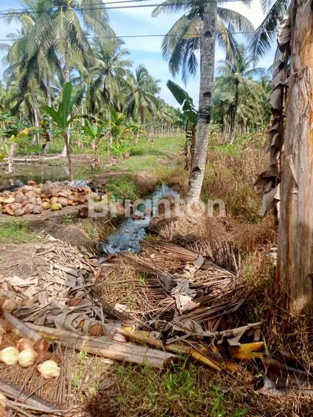 image LAHAN STRATEGIS 198M² BEBAS BANJIR, SHM (1)