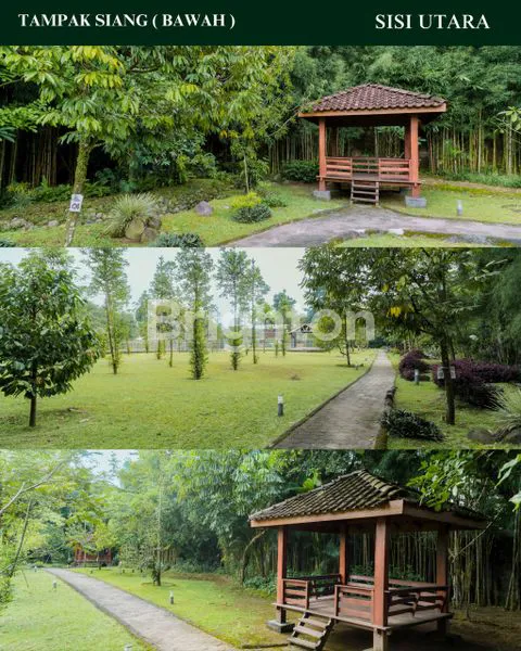image PEKARANGAN BONUS TAMAN DAN RUMAH, MAGUWO CONDONGCATUR   (2)