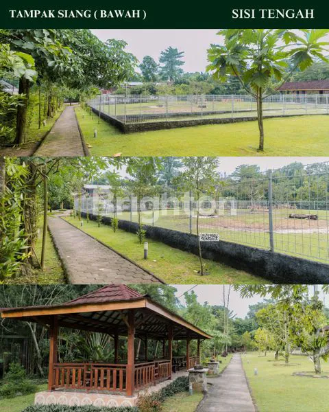 image PEKARANGAN BONUS TAMAN DAN RUMAH, MAGUWO CONDONGCATUR   (7)