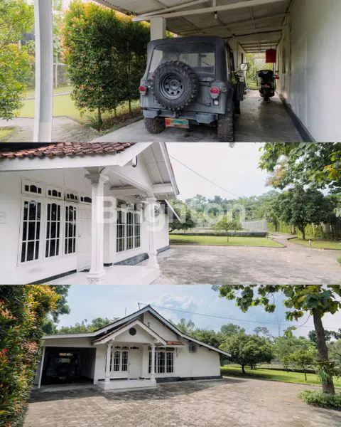 image PEKARANGAN BONUS TAMAN DAN RUMAH, MAGUWO CONDONGCATUR   (6)