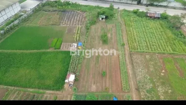 image  TANAH INDUSTRI 27.274 M² DI KAWASAN TRESTED PASIR JAYA CIKUPA – AKSES KONTAINER & DEKAT TOL KEDATON\N (3)