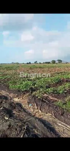 TANAH LUAS CUMA 25 RIBU RUPIAH PER METER DI SUMBAWA BESAR