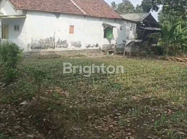 image TANAH LUAS SIAP BANGUN PASREPAN PASURUAN (5)