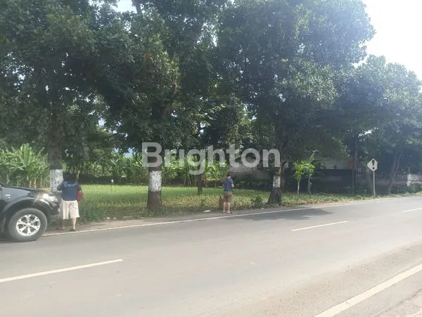 image TANAH LUAS SIAP BANGUN PASREPAN PASURUAN (2)