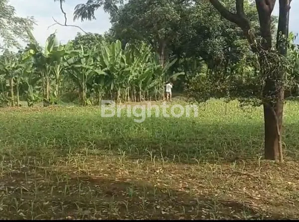 image TANAH LUAS SIAP BANGUN PASREPAN PASURUAN (6)