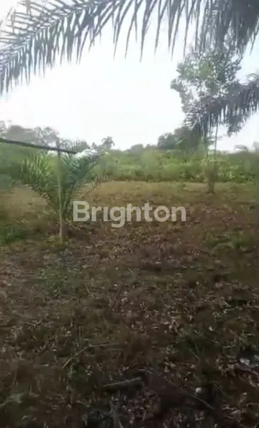 image DIJUAL TANAH SIAP BANGUN 15X30 – HARGA TERJANGKAU!\N (5)