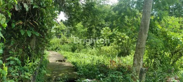 image TANAH STRATEGIS DITENGAH KOTA BOGOR (4)