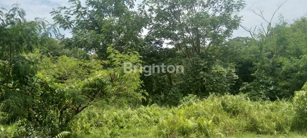 image TANAH STRATEGIS DITENGAH KOTA BOGOR (5)