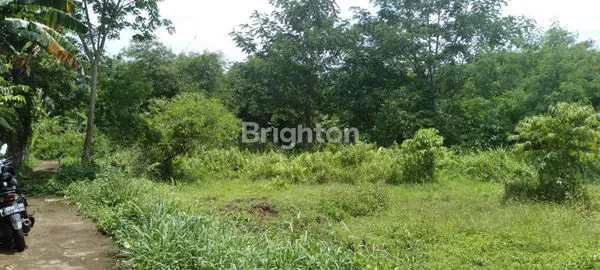 image TANAH STRATEGIS DITENGAH KOTA BOGOR (2)